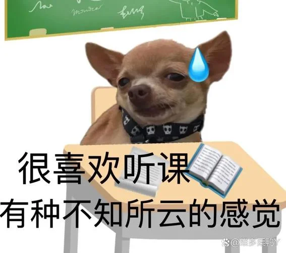 可爱学怎么样_2