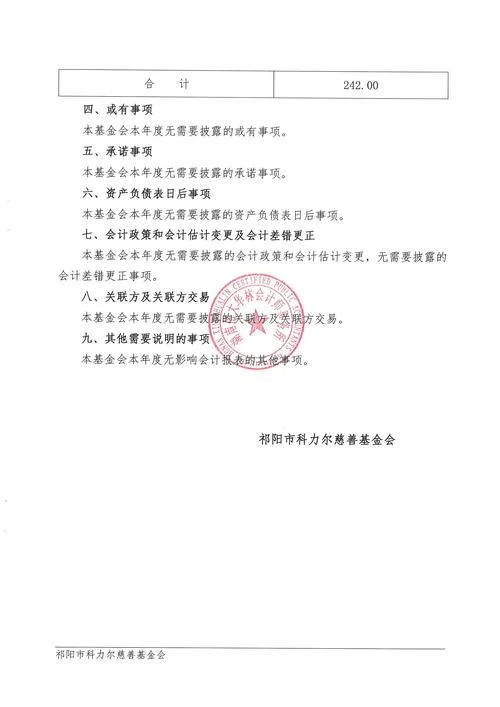 财务审计报告在哪里查_2