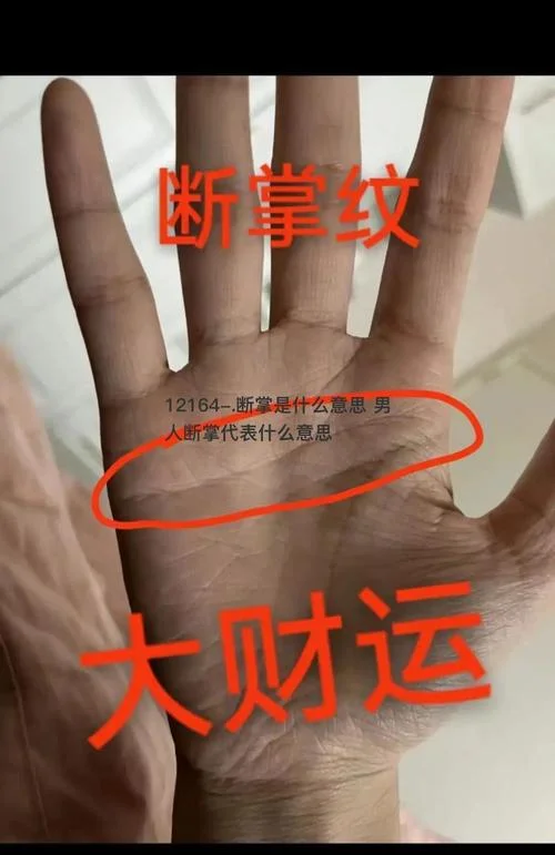 断掌怎么看手相图解_1