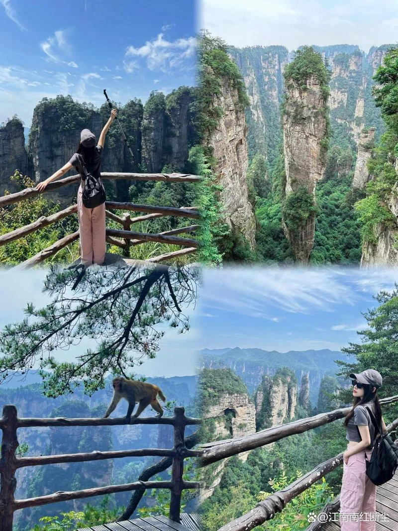 张家界景点65岁免费吗_1