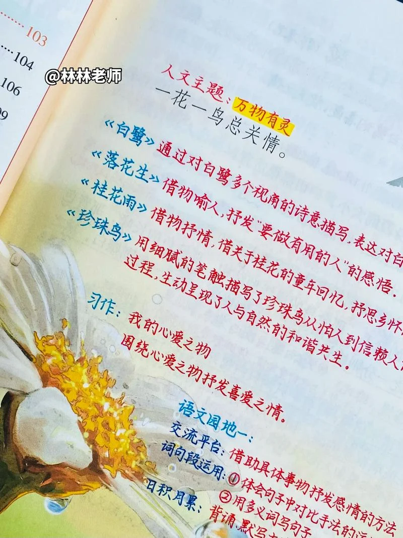 笨鸟先飞的意思和道理_1