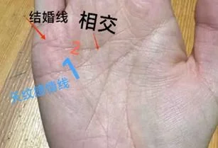 手相看姻缘何时结婚-手相看姻缘何时结