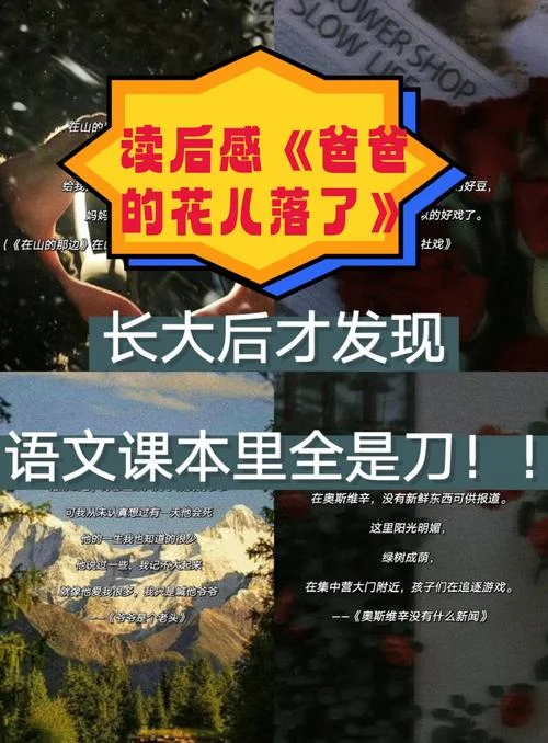 爸爸的花儿落了告诉我们什么道理-父亲之花落道