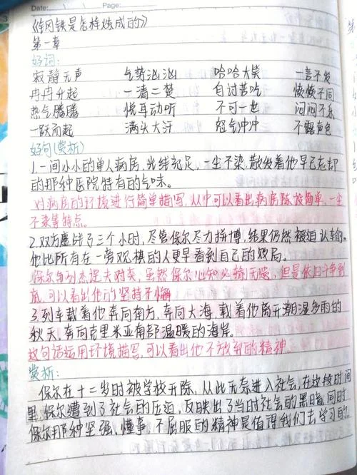 《钢铁是怎样炼成》的读书笔记_1
