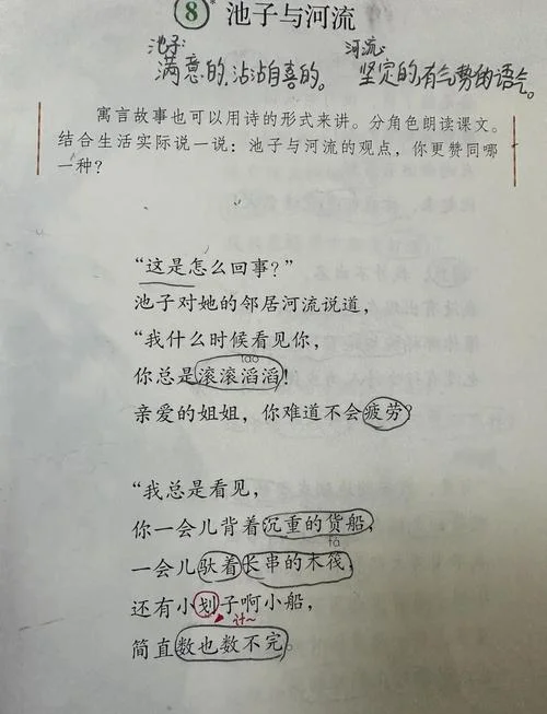溪水和石头告诉我们什么道理_1