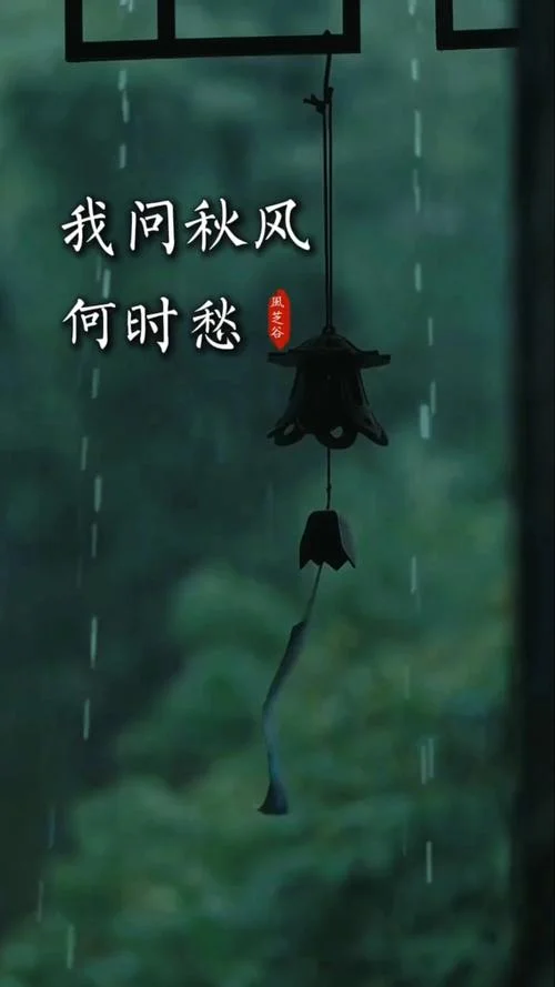 多愁善感叫什么_1