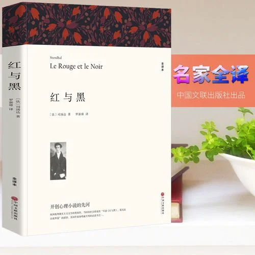 红与黑读后感初二_1