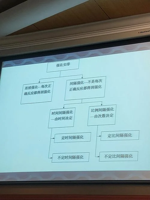 经典性条件反射_2