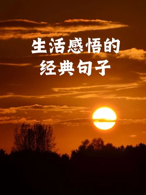 生活感悟经典图片_1