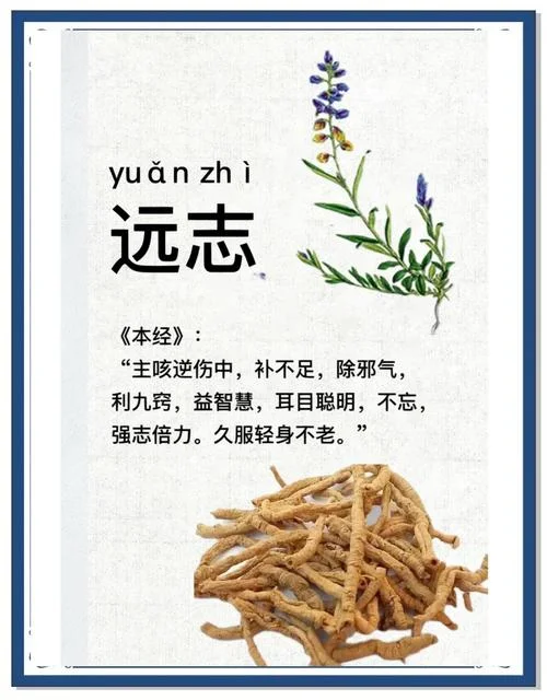 安神定魄出处_1