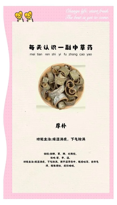 厚朴温中汤出处_1