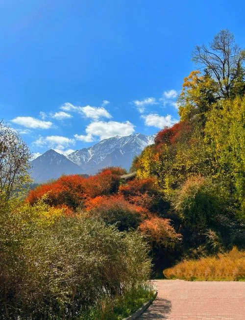 西北的旅游景点都有哪些_2
