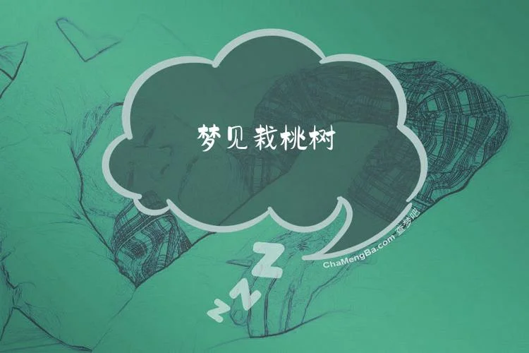 梦见桃树是什么意思啊_1