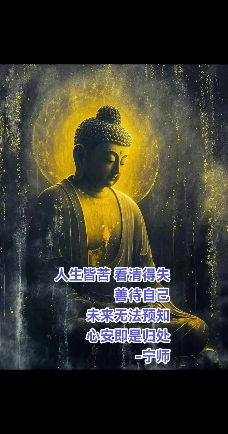 禅语人生感悟视频_1