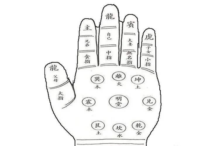 手相手虎找手兔好吗_1