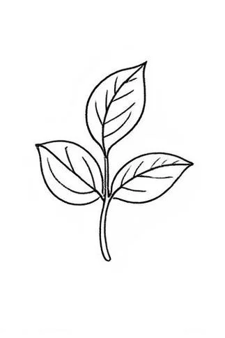 简笔画树叶子图片大全_1