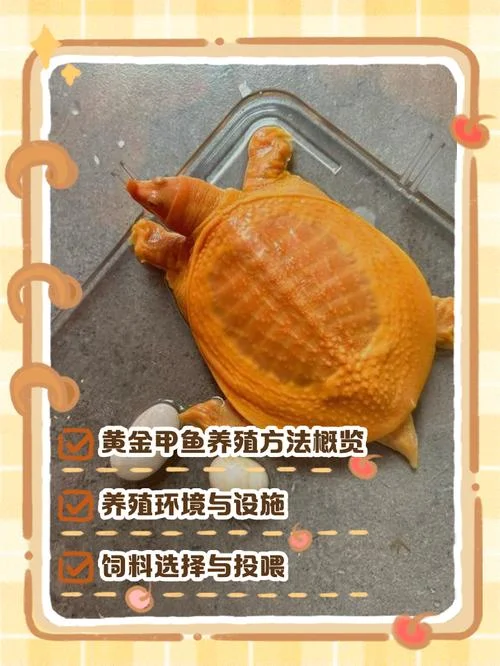 养甲鱼一亩地一年利润是多少_1
