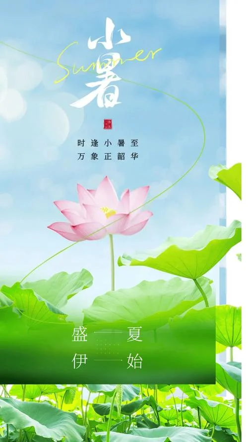 小暑海报文案_1