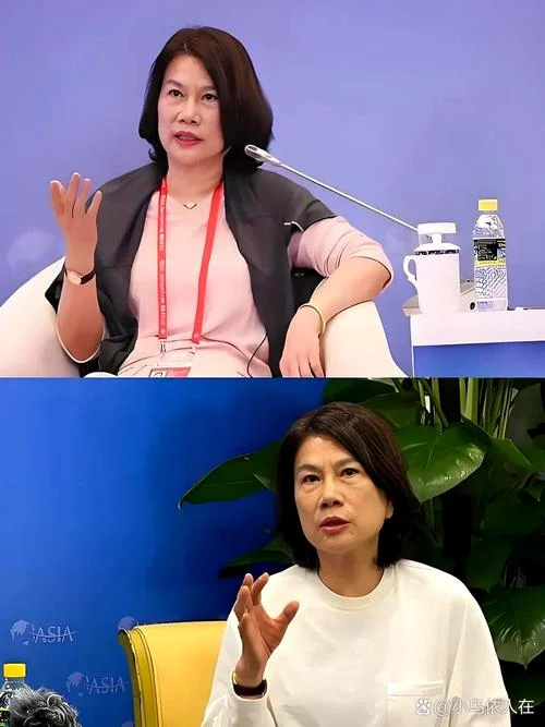 梦见董明珠是什么意思_1