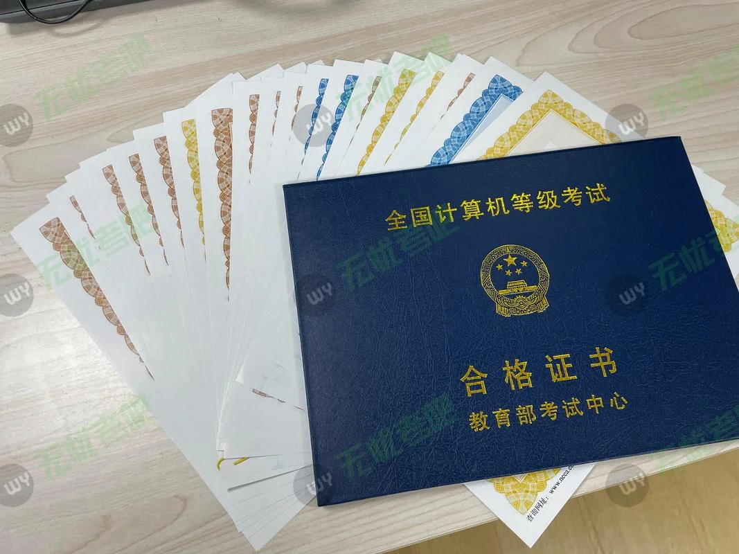 计算机二级又叫什么_1