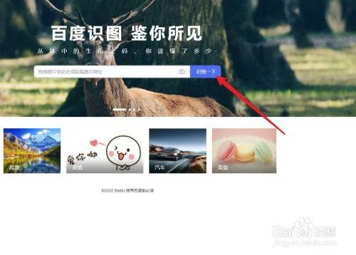 识别照片出处_1