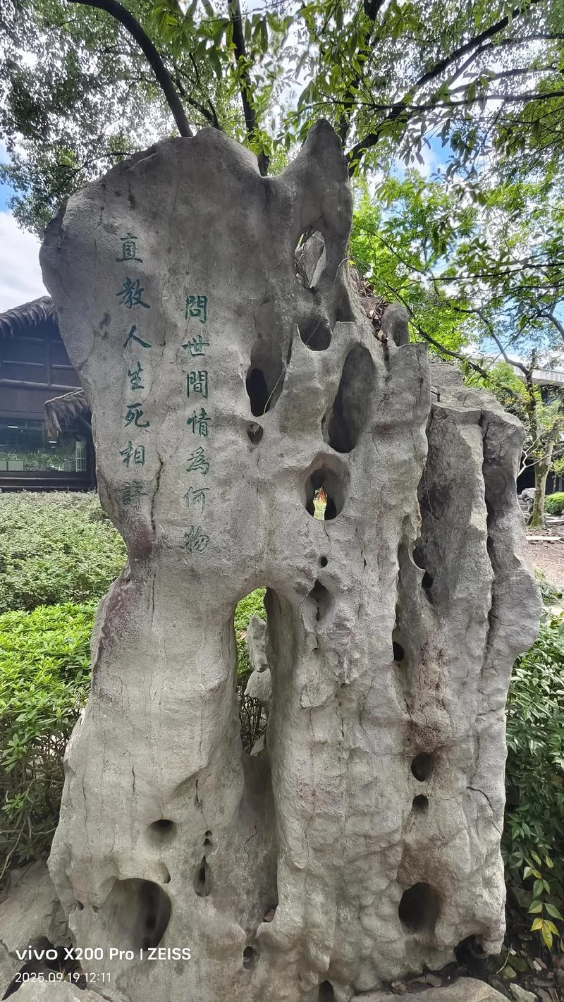 世间情为何物下一句怎么说_1