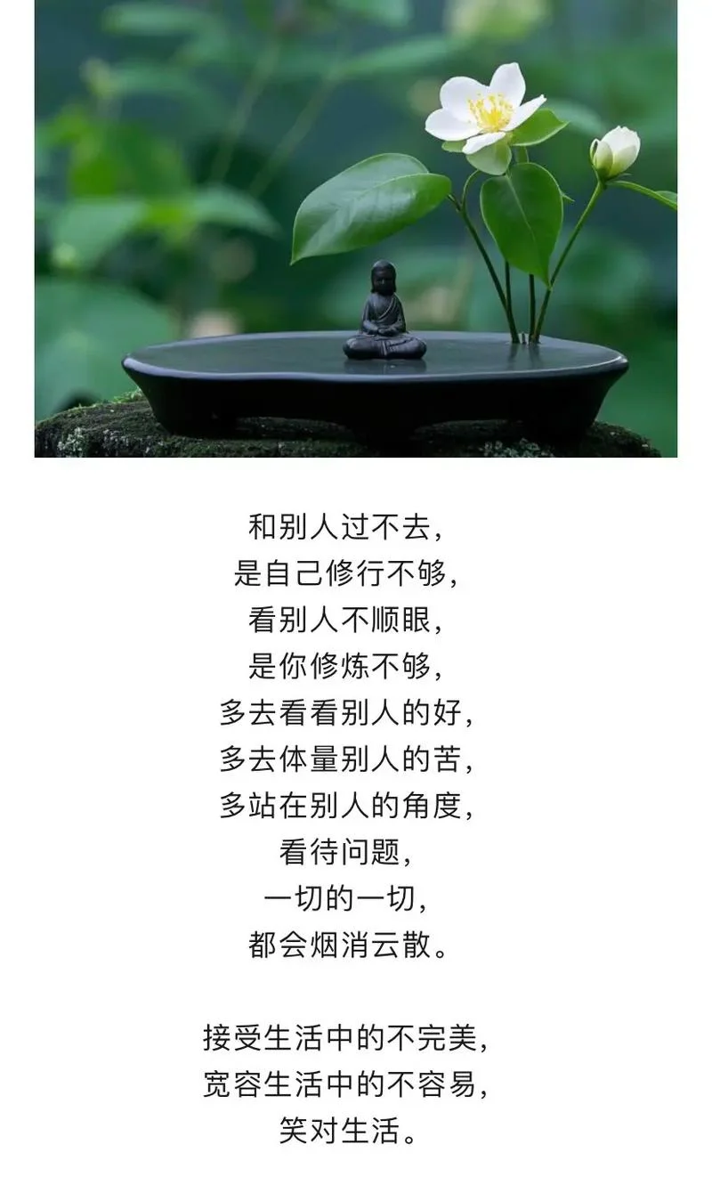 禅语人生感悟视频_2