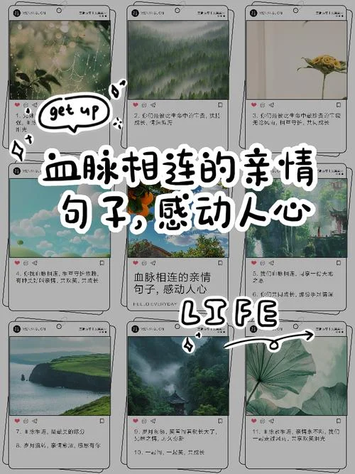 真情永恒感悟人生_1