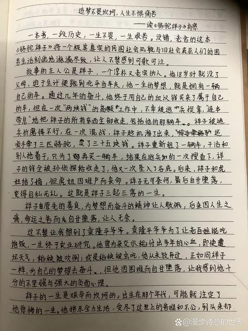 骆驼祥子的读后感400_1