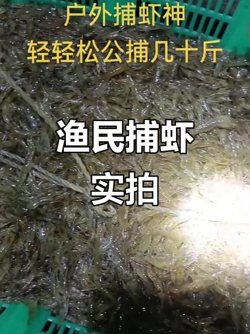 梦见捞虾-梦中捞虾