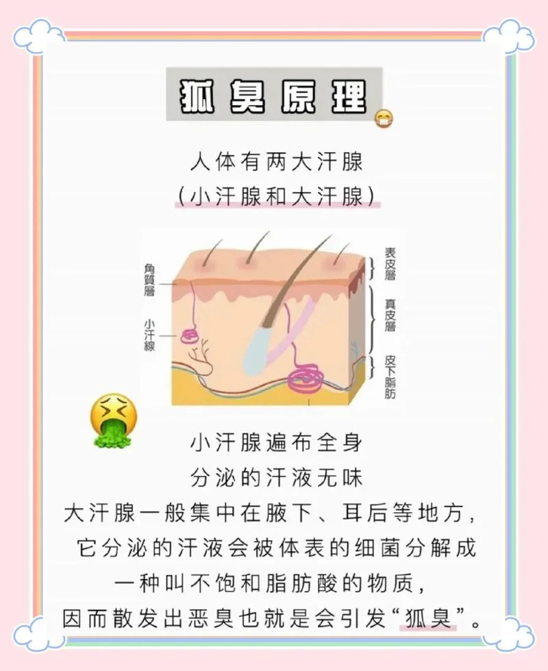 狐臭多大年龄会没有了_2