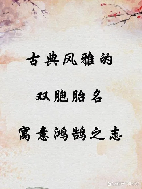 女双胞胎宝宝起名_1