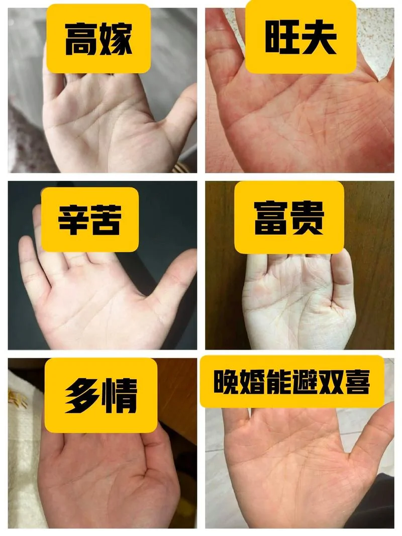 网上免费看手相微信_1