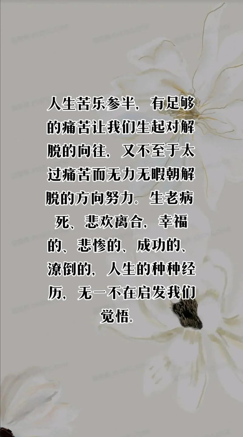 苦乐人生感悟语录_1