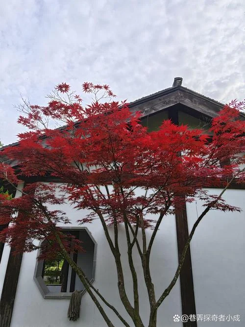 苏州红色景点有哪些-苏州红色景点