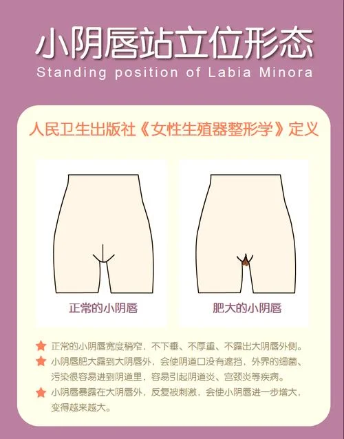 女生的下体叫什么_2