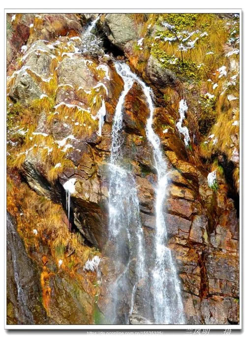 梦见高山上下来清水_2