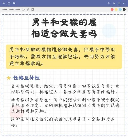 牛男与什么属相最配对-牛男最合属鼠