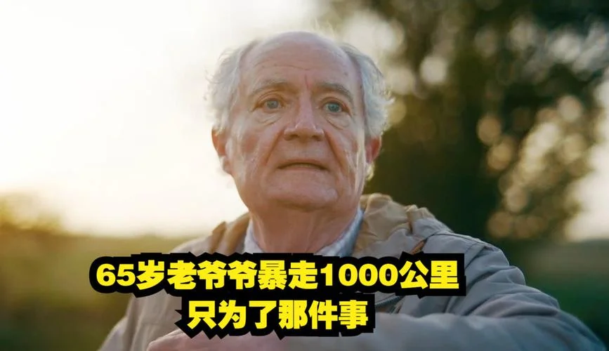 朝圣电影叫什么名_1