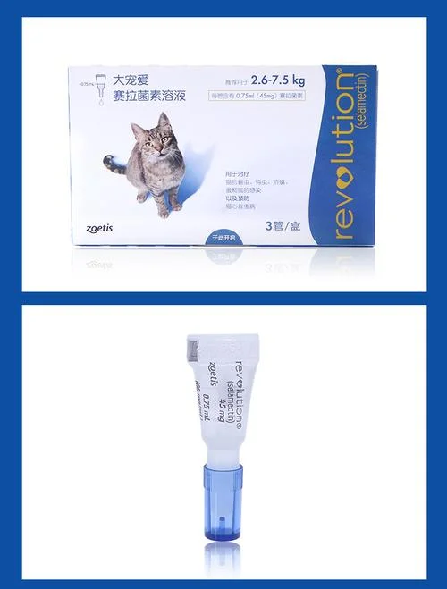 如何查大宠爱真假_2