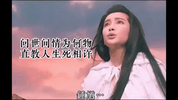 问世间情为何物的下一句_1