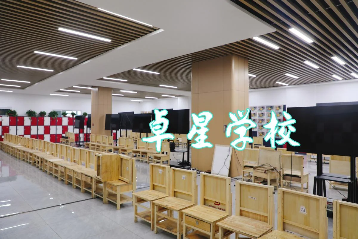 学校艺术生_2