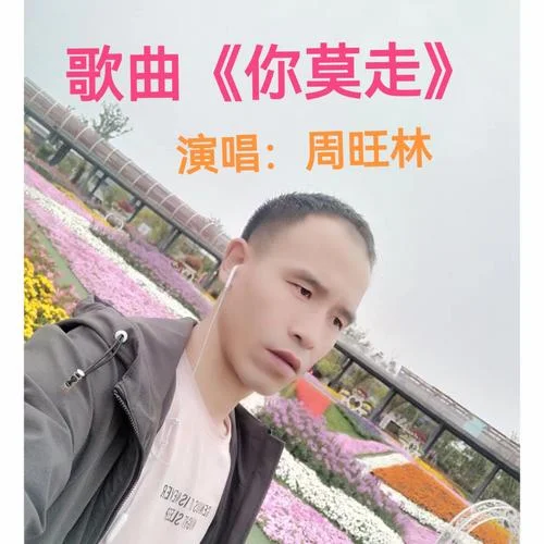 你莫走我不走下一句_2