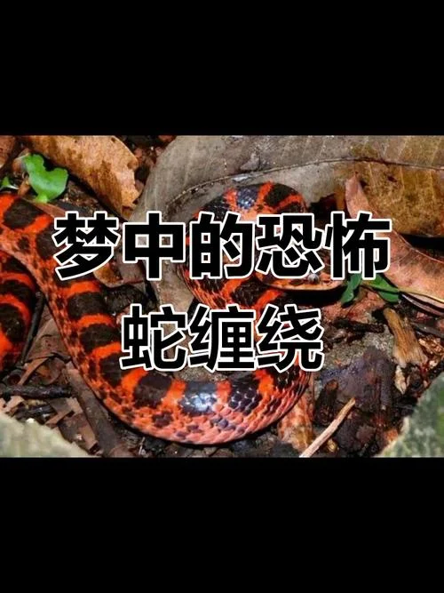 梦见蟒蛇追我被打死了_1