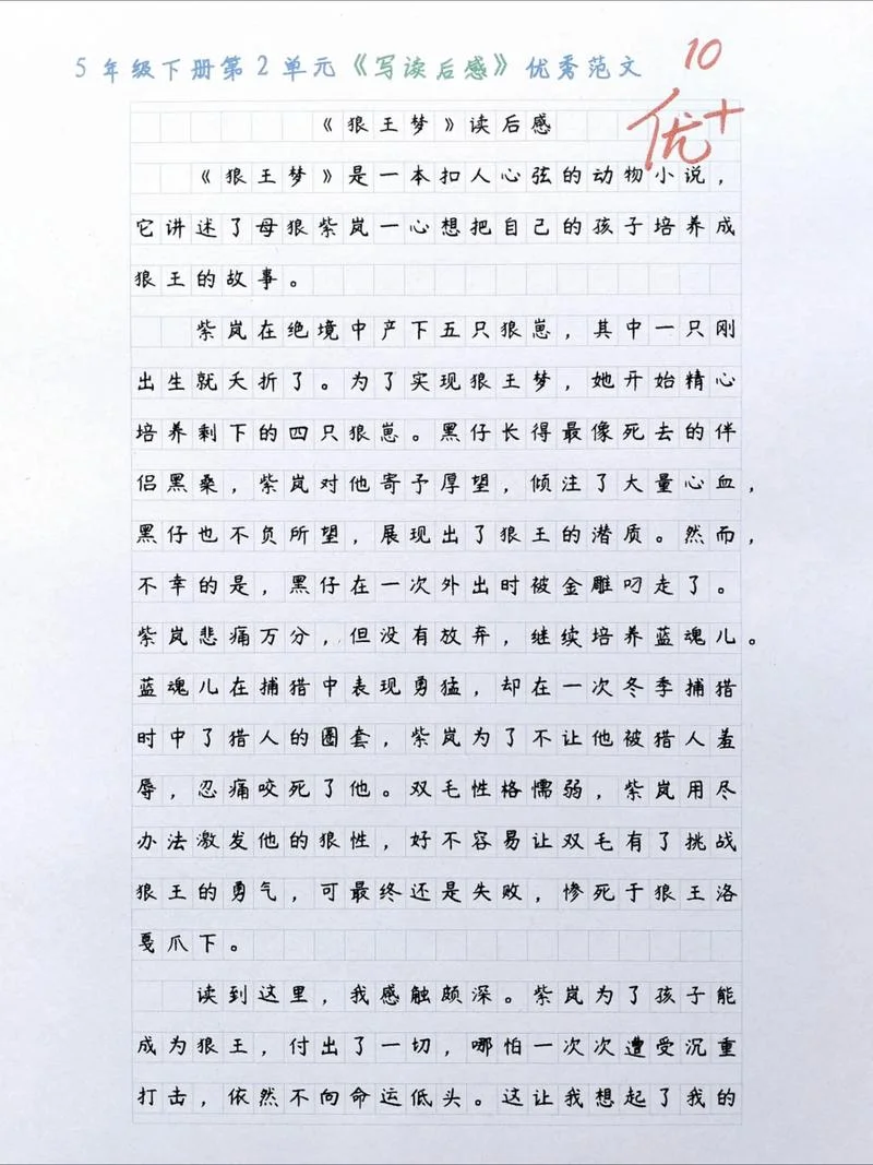 五年级的读后感_2
