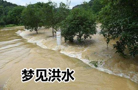做梦梦见下大暴雨什么意思_2