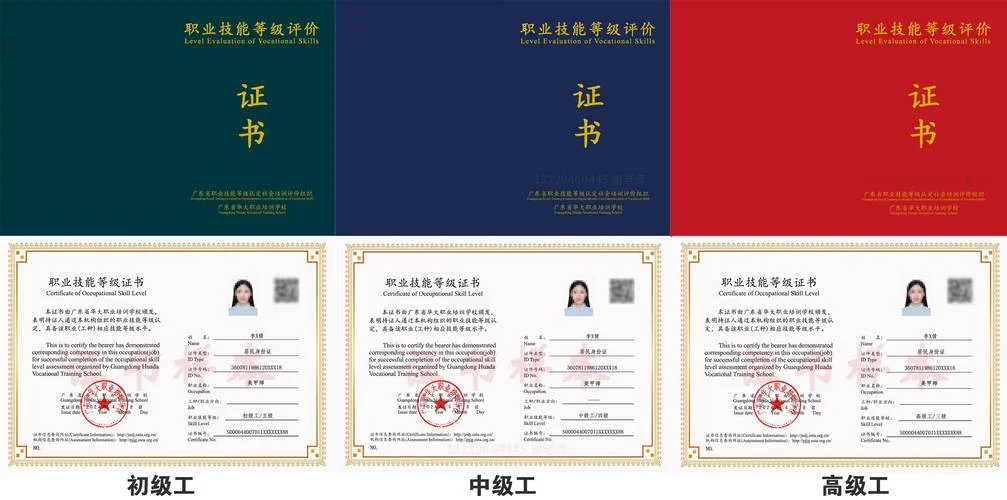 职业资格证书查询全国联网_2