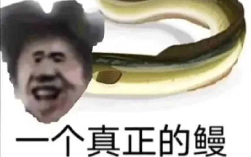 你太e了是什么意思_2