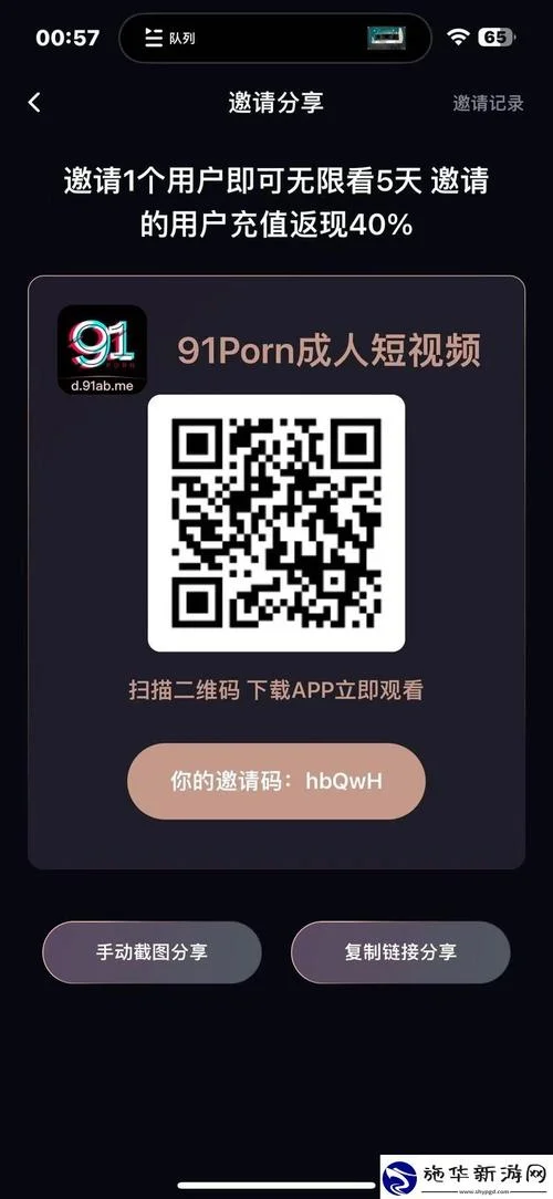 91网站是什么意思_2