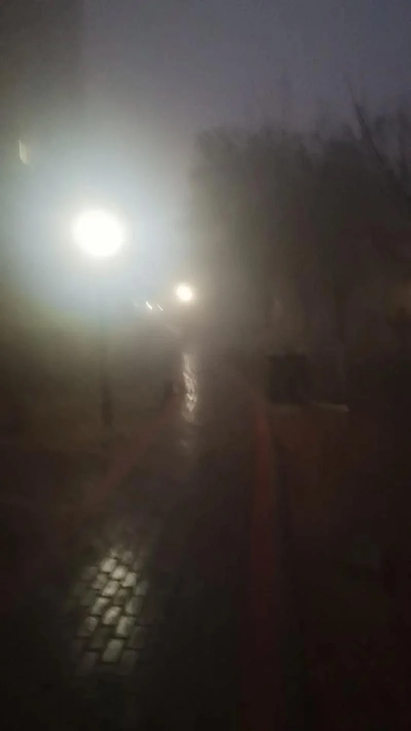 梦见自己走夜路回家_1